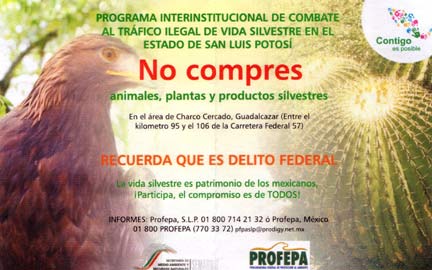 Do not buy plants and animals on the roadside.