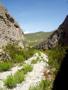 Old narrow gauge railway
