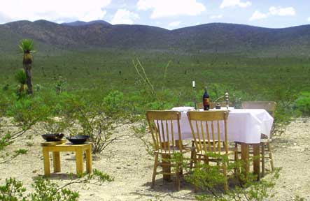 Fine Dining