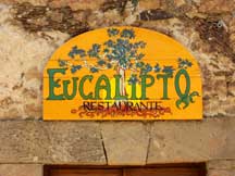 El Eucalipto