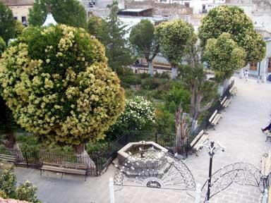 Plaza Hidalgo